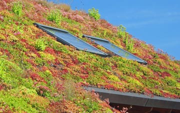 Stackhouse living roof systems