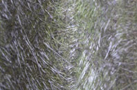 Stackhouse fibreglass roof work